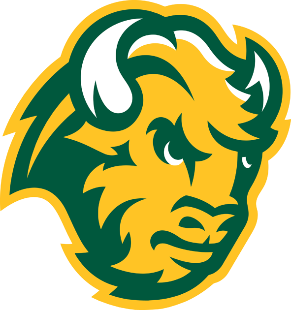 North Dakota State Bison 2012 Unused Logo diy iron on heat transfer